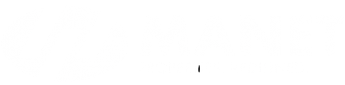Manet towers logo